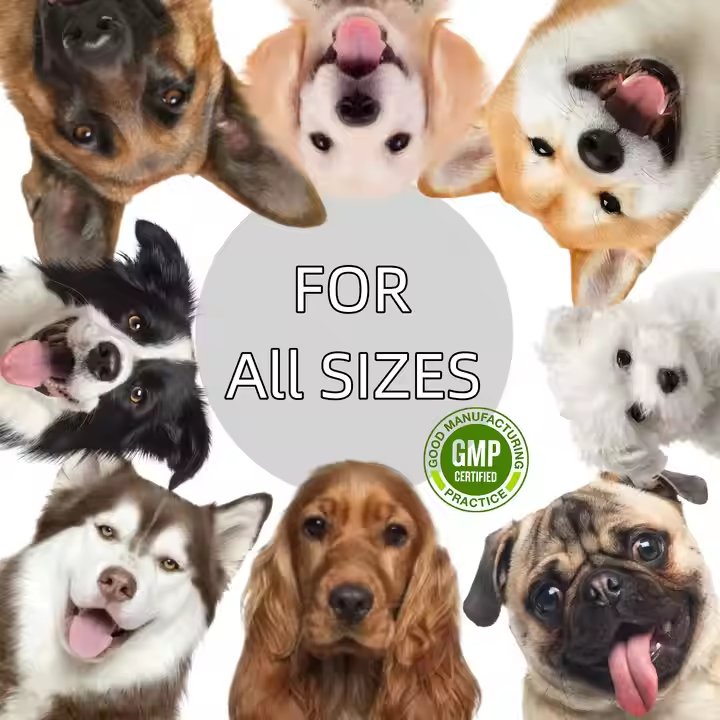 OEM ODM Pet Supplement Clean Scat Digestive Nutritional Gel for dogs and Cats - Helps Breath Freshener and Reduce Stool Odor