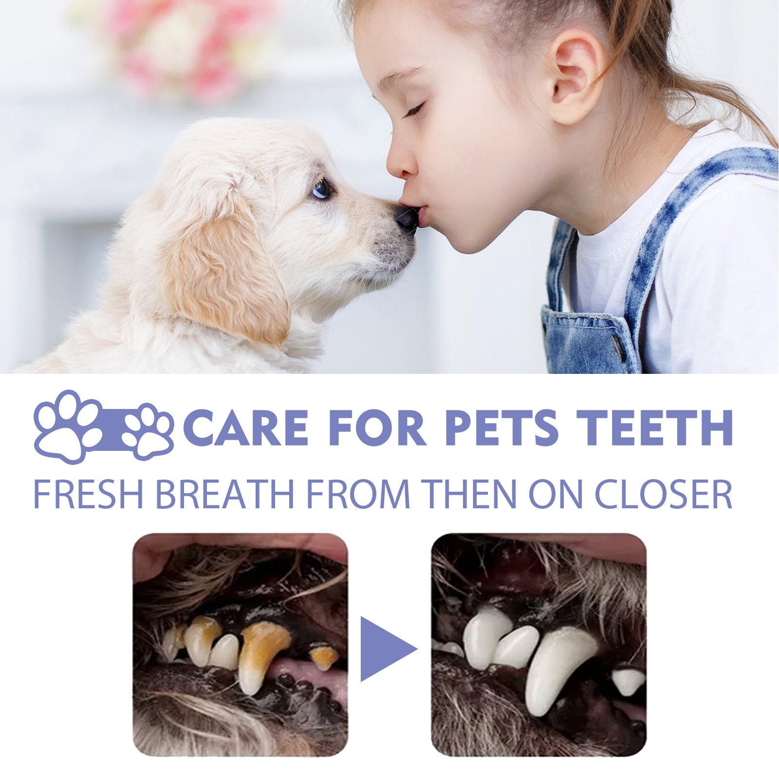 Pet Oral Care Spray Dog Mouth Breath Freshener Tooth Stains Removal Cleaning Spray No Brushing For Cats And Pets