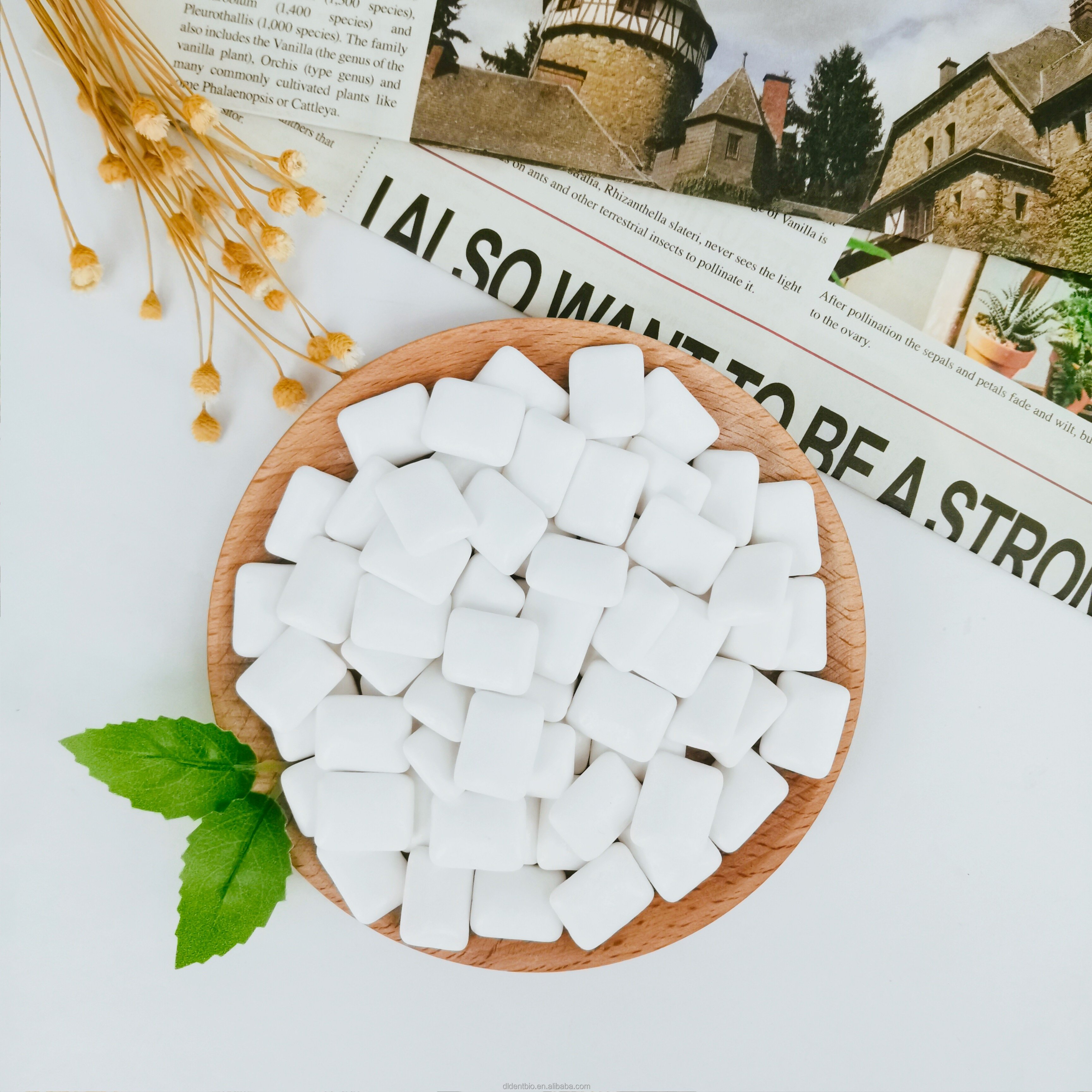 Easy Taken Blood Sugar not Raise 100% Xylitol Oral Care Chewing Gum