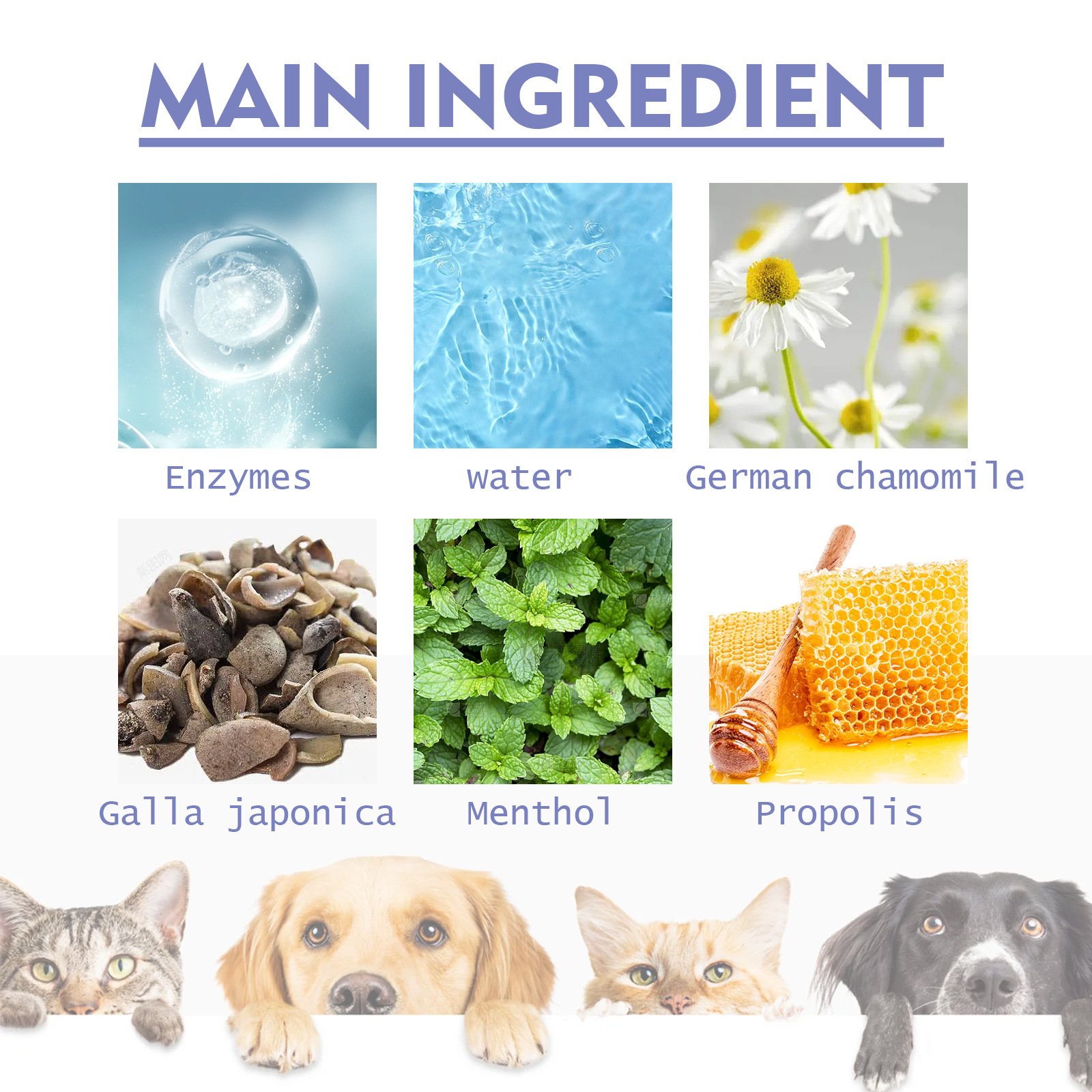 Wholesale Pet Spray Dog Oral Care Bad Breath Teeth Cleaning Breath Freshener Plaque Remover