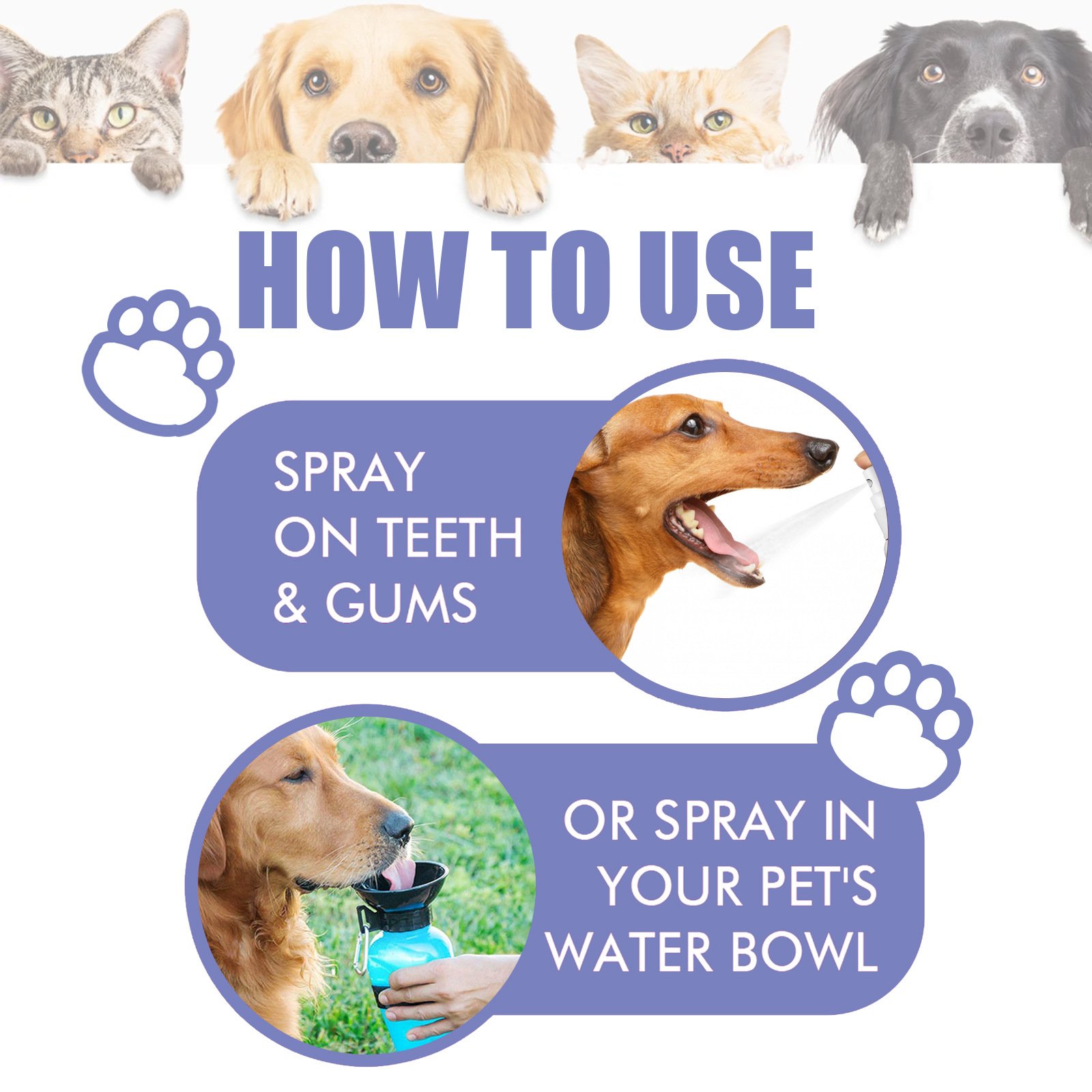 Wholesale Pet Spray Dog Oral Care Bad Breath Teeth Cleaning Breath Freshener Plaque Remover