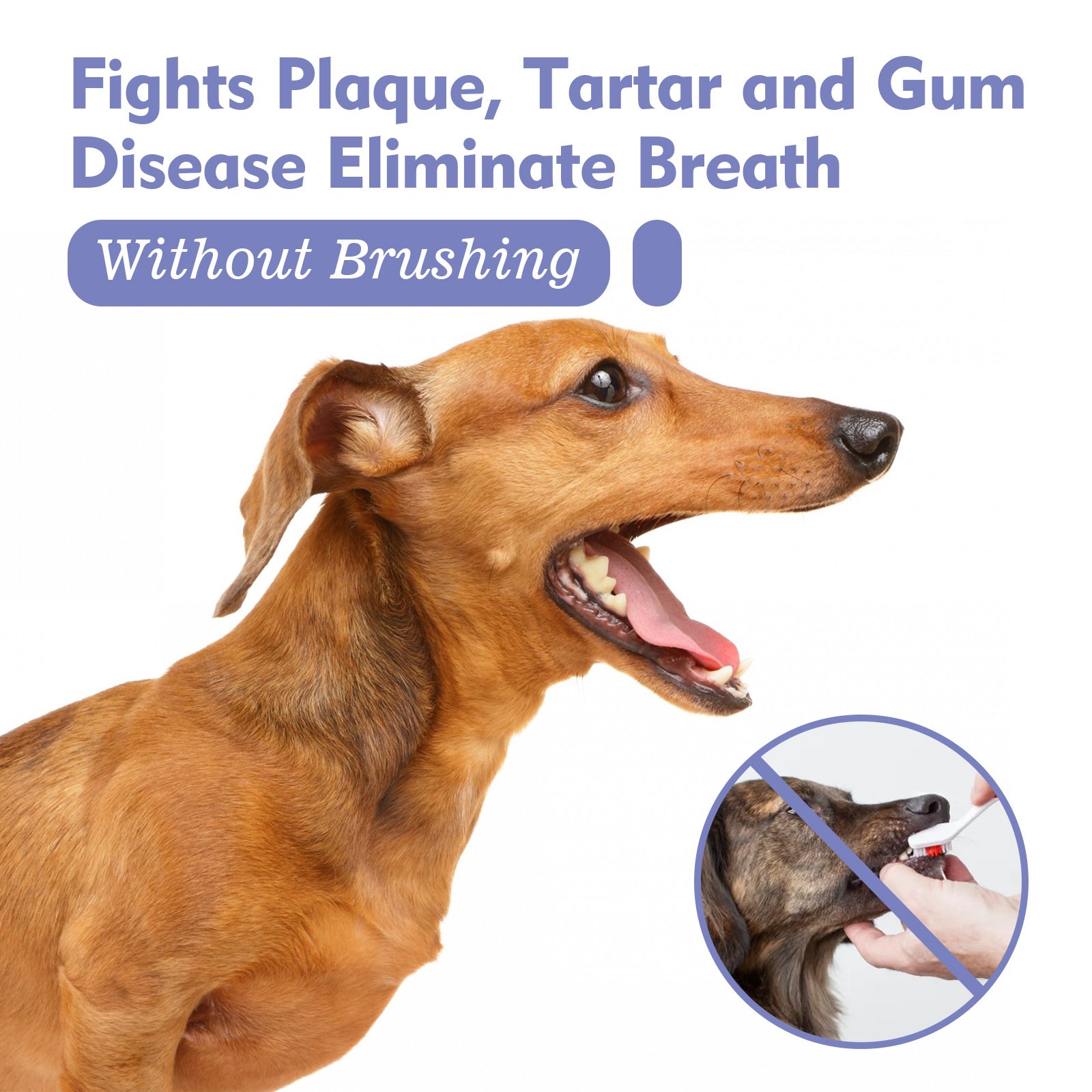 Wholesale Pet Spray Dog Oral Care Bad Breath Teeth Cleaning Breath Freshener Plaque Remover