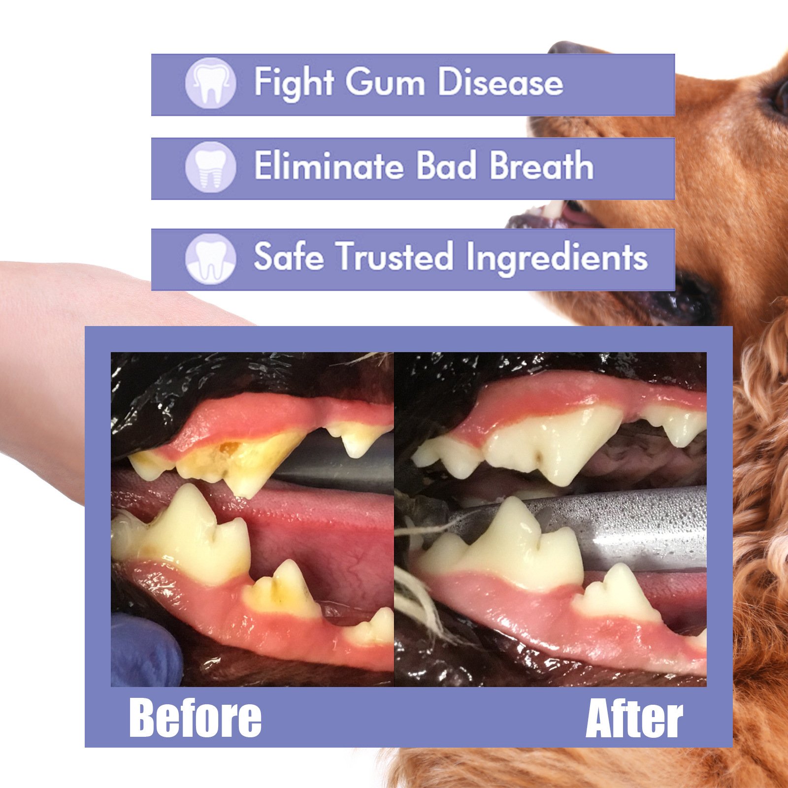 Wholesale Pet Spray Dog Oral Care Bad Breath Teeth Cleaning Breath Freshener Plaque Remover
