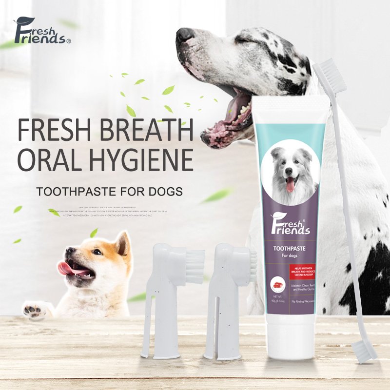 Dog Tooth Cleaning Kit Toothpaste & Toothbrushes