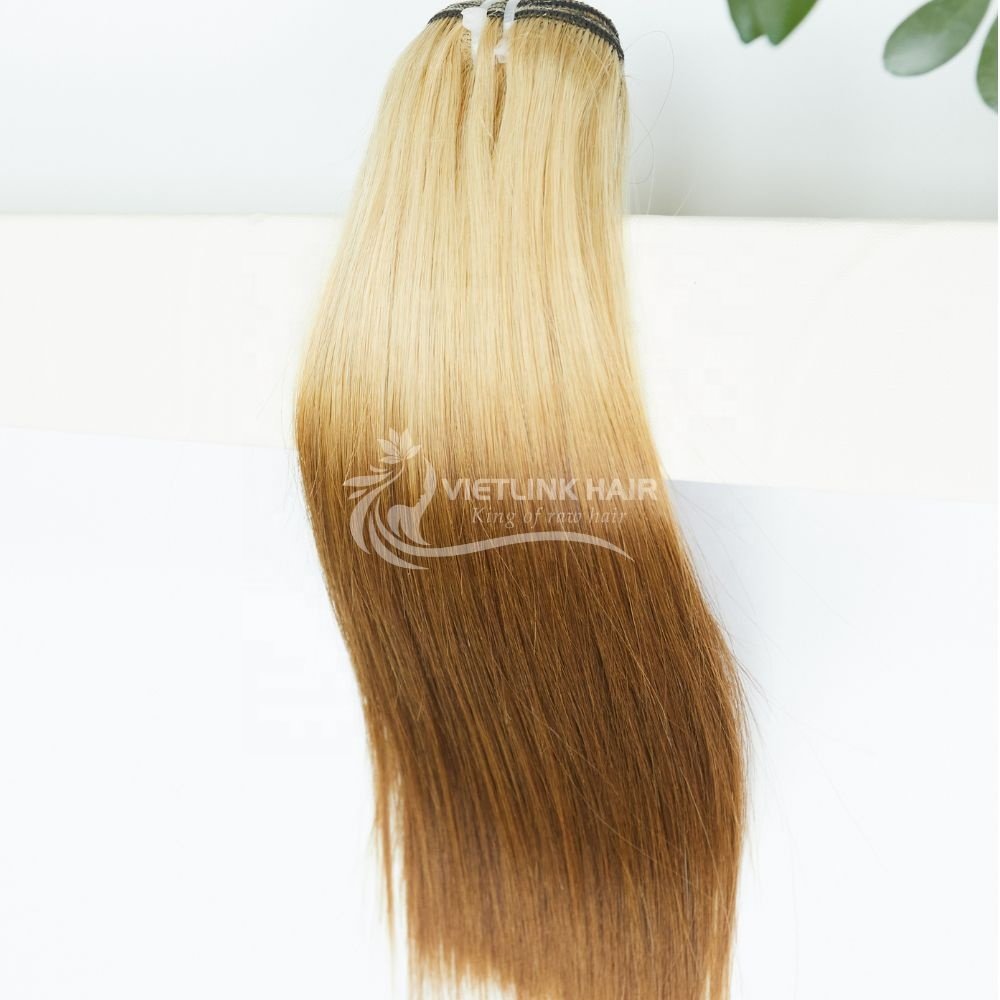 Ombre Color Weft Extensions Double Drawn Human Hair Extensions Vietnamese Bone Straight Hair Raw Human Hair Popular