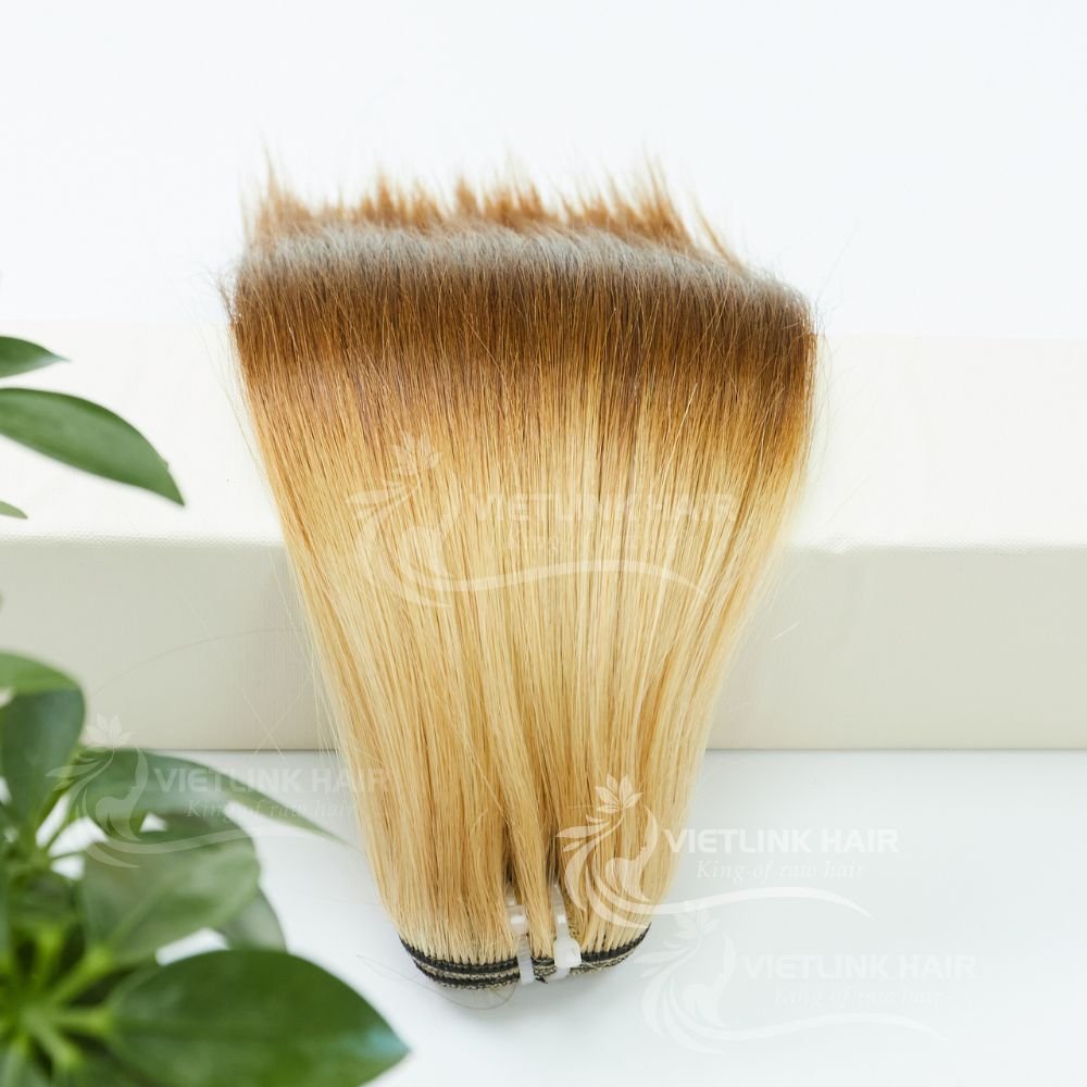 Ombre Color Weft Extensions Double Drawn Human Hair Extensions Vietnamese Bone Straight Hair Raw Human Hair Popular