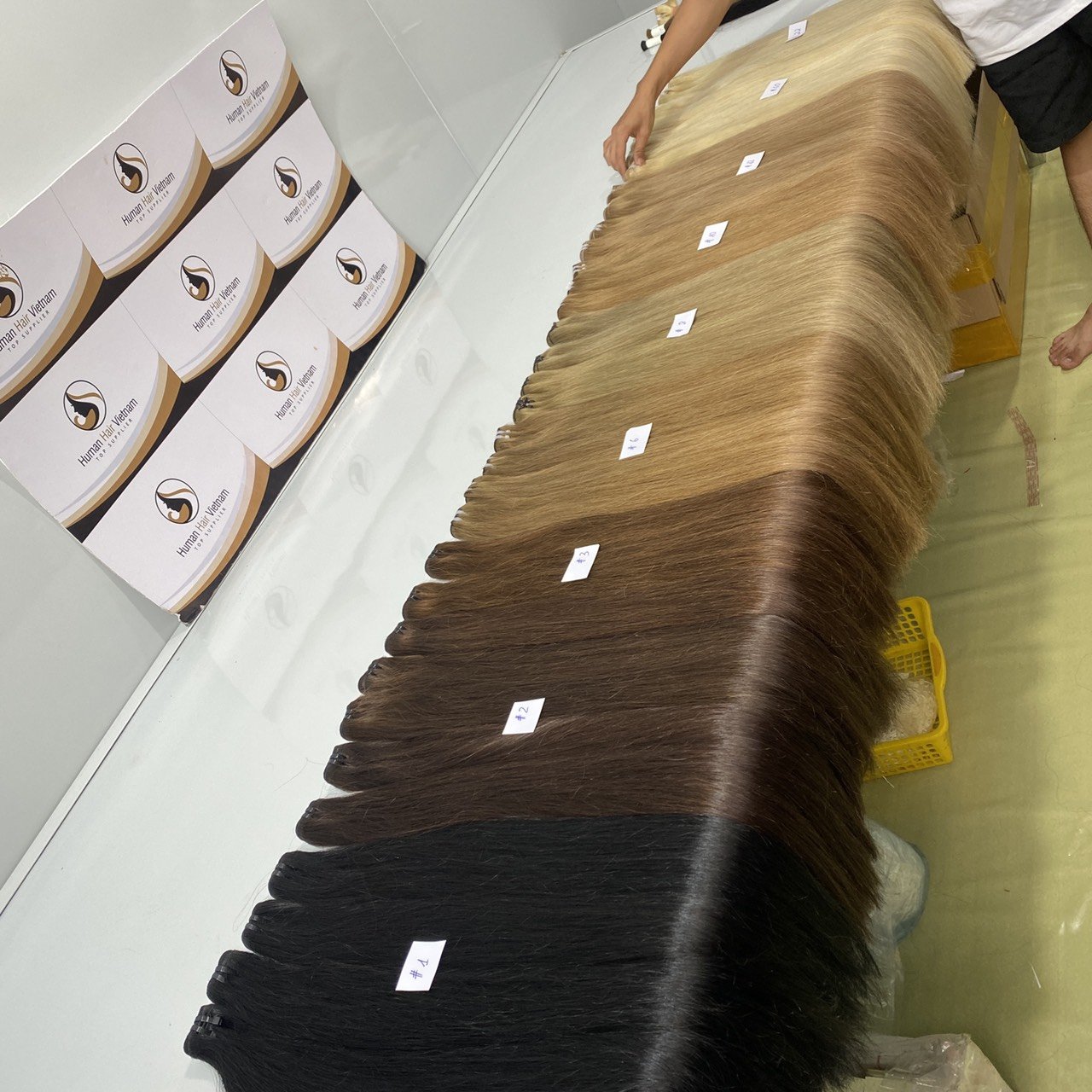 Free Sample Unprocessed Virgin Vietnamese Human Hair Extensions, Best Remy Grade Hair Bundles, Hair Weaving Bundles Hair Vendors