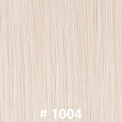 #1004
