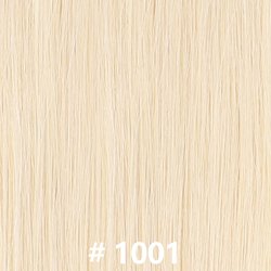 #1001