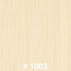 #1003