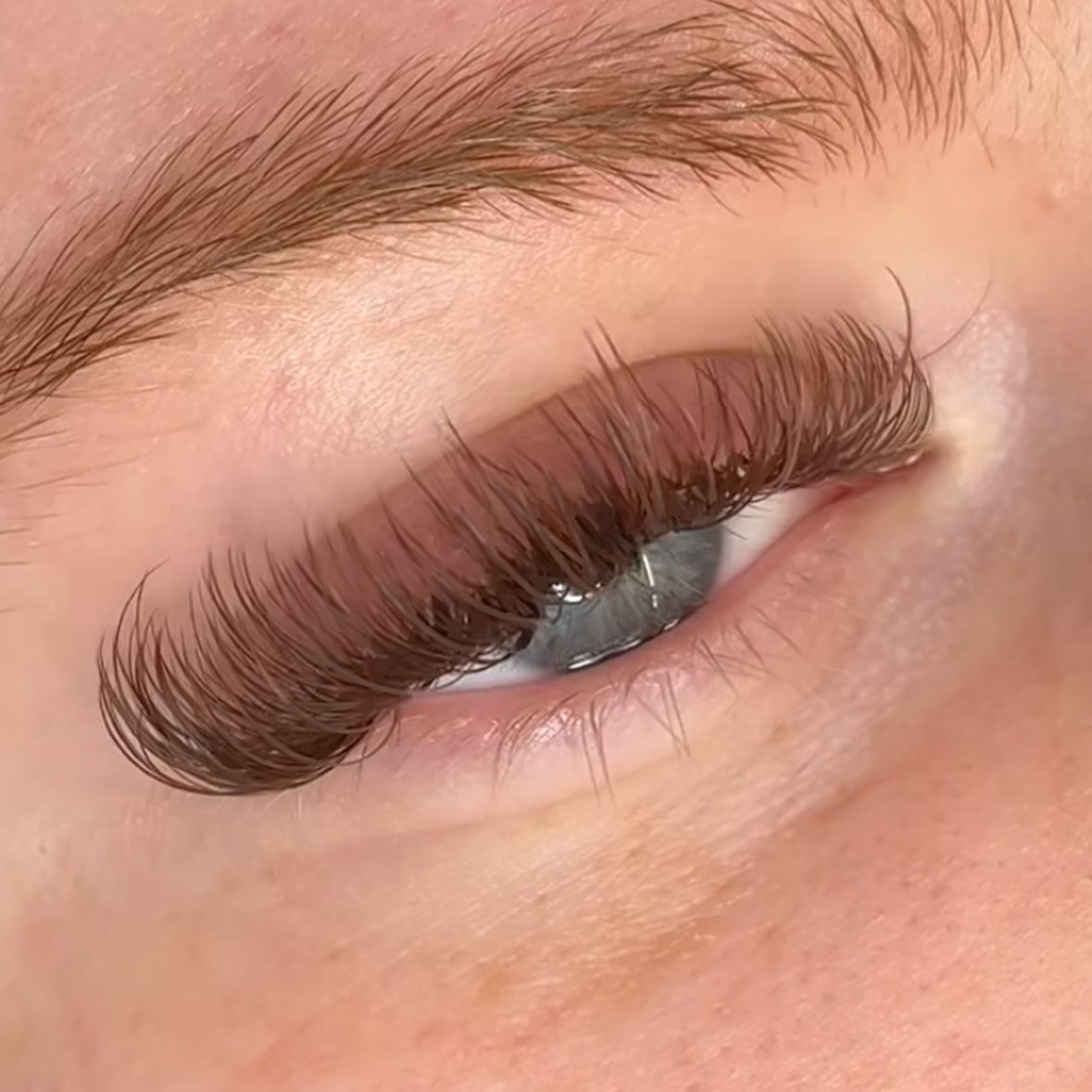 Abonnie Custom Handmade Coloured Cashmere Dark Brown Lashes .03 Professional Brown Lash Extension Trays