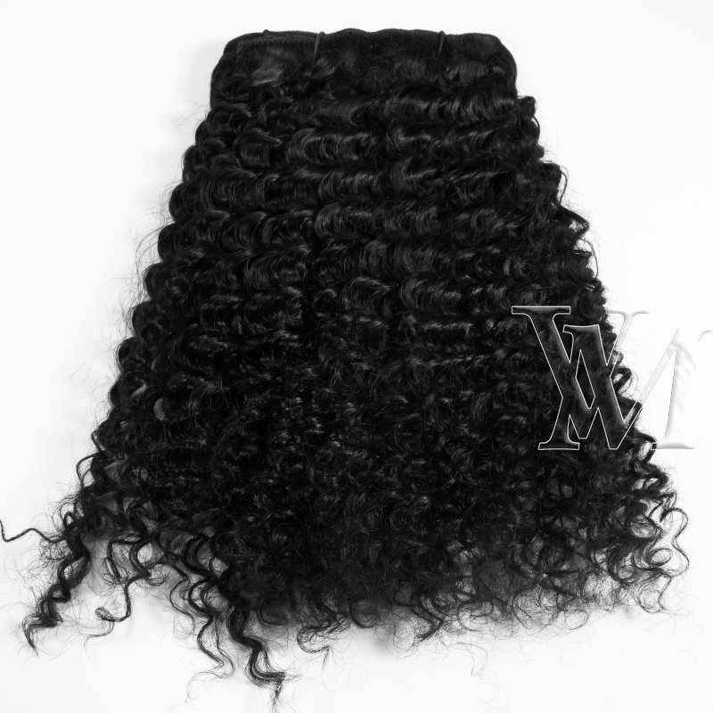 VMAE Burmese 100g Natural Black Afro Kinky Curly 3A 3B 3C 4A 4B 4C Clip Ins Human Hair Clip In Extensions for Black Women