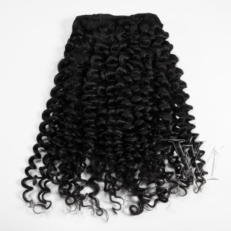 VMAE Burmese 100g Natural Black Afro Kinky Curly 3A 3B 3C 4A 4B 4C Clip Ins Human Hair Clip In Extensions for Black Women