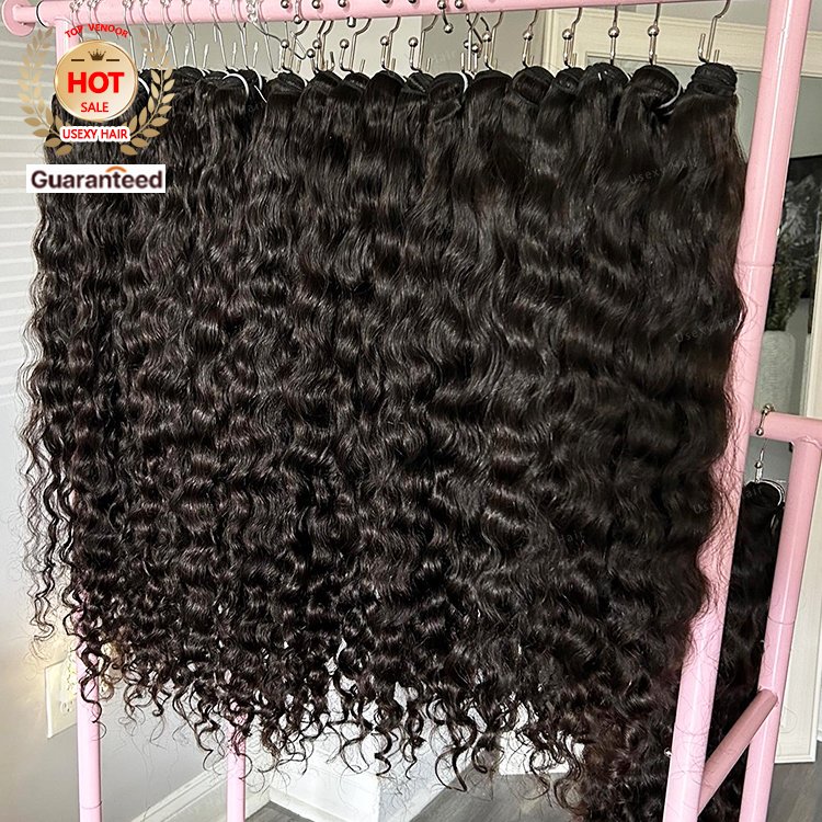 Raw Indian Vietnamese Burmese Curly Bundles Unprocessed Virgin Hair Vendors Vietnamese Cuticle Aligned Human Hair Extensions