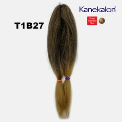 T1B27
