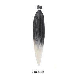 T1B613