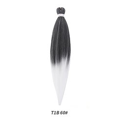T1B60