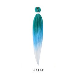 3T17