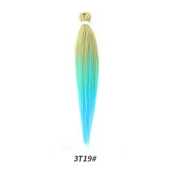 3T19