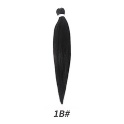 1B