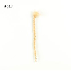 #613