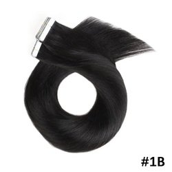 #1B