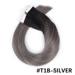 #T1B-Silver
