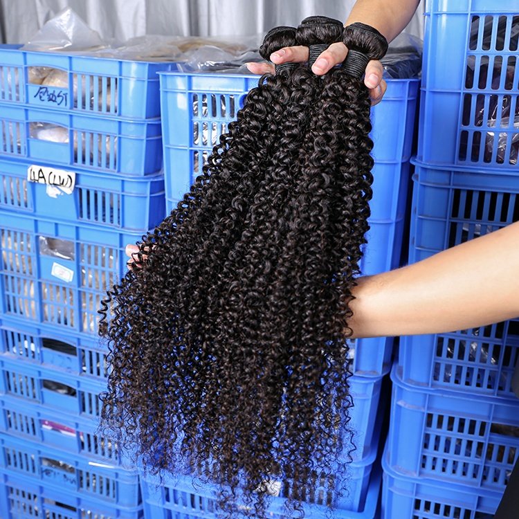 12a Top Grade Raw Cuticle Aligned Virgin Bundles Human Hair Extensions Wholesale Vendor Perruques Kinky Curly Hair Bundles