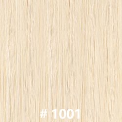 #1001