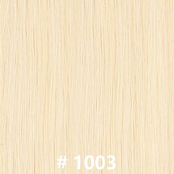 #1003