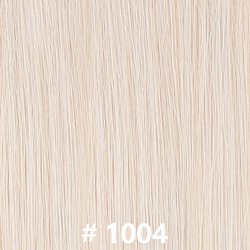 #1004