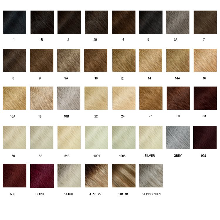 Leshine Popular Color Swatch Human Hair Extension Balayage Luxury Colour Ring