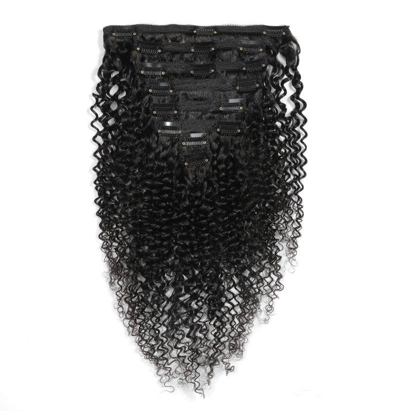 Vietnamese Virgin Remy 3a 3b 3c 4b Afro Kinky Curly Seamless Clip In Hair Extensions 100% Human Natural Hair 4c Kinky Clip Ins