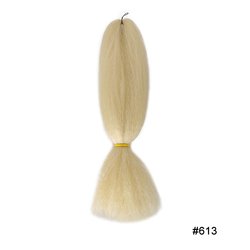 #613