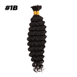 #1B