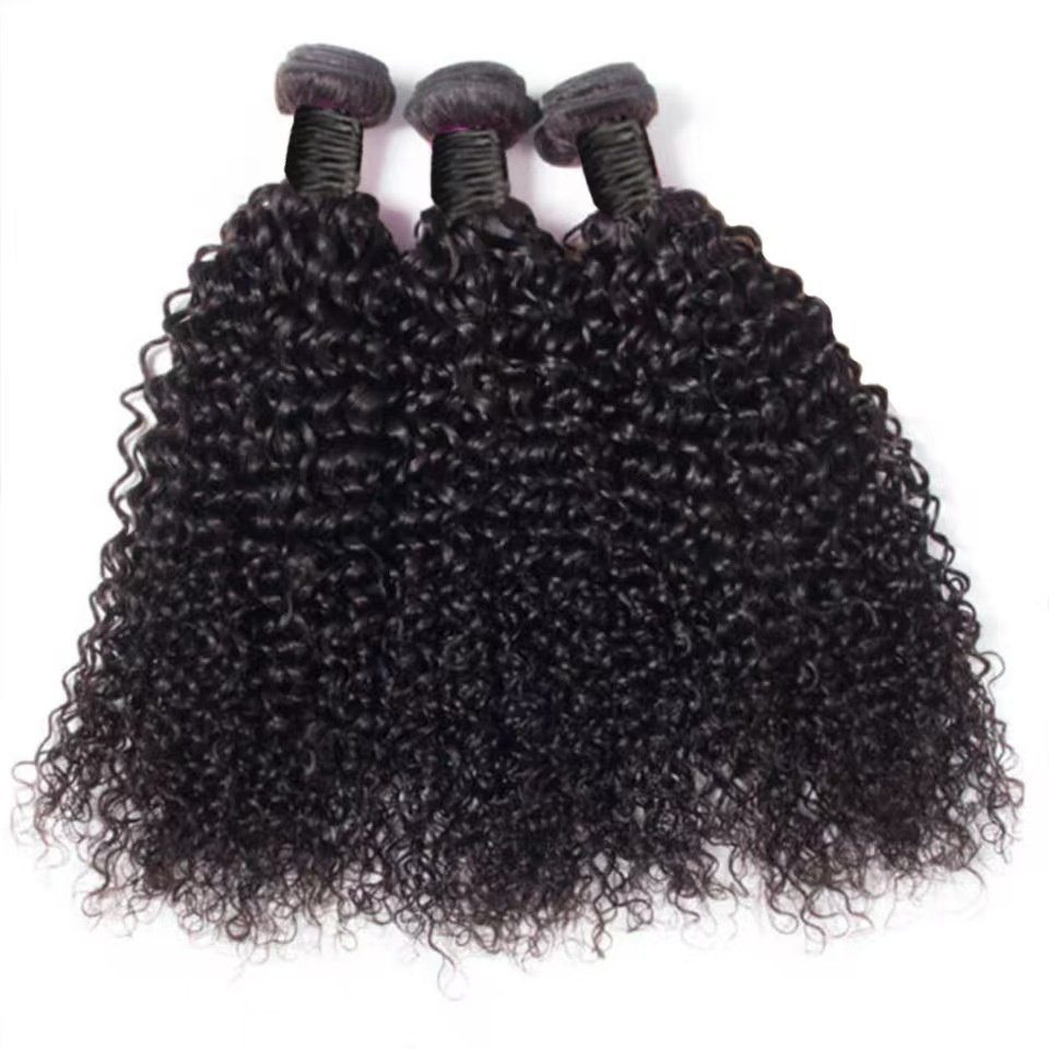 9A Cheap Burmese Curly Bundles Human Hair Bundle Burmese Curly Raw Hair 100% Unprocessed Vietnamese Indian Human Hair Extension