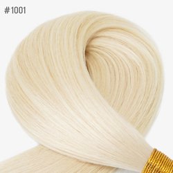 #1001(50g)