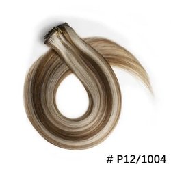 #P12-1004