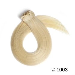 #1003