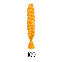 J09