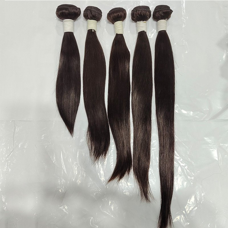 Raw Alligned Southeast Asian Bundle Wig Vietnam Cambodian Cuticle Aligned Virgin Human Hair Extension Vendor