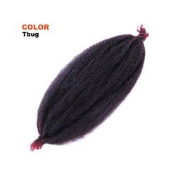 TBUG