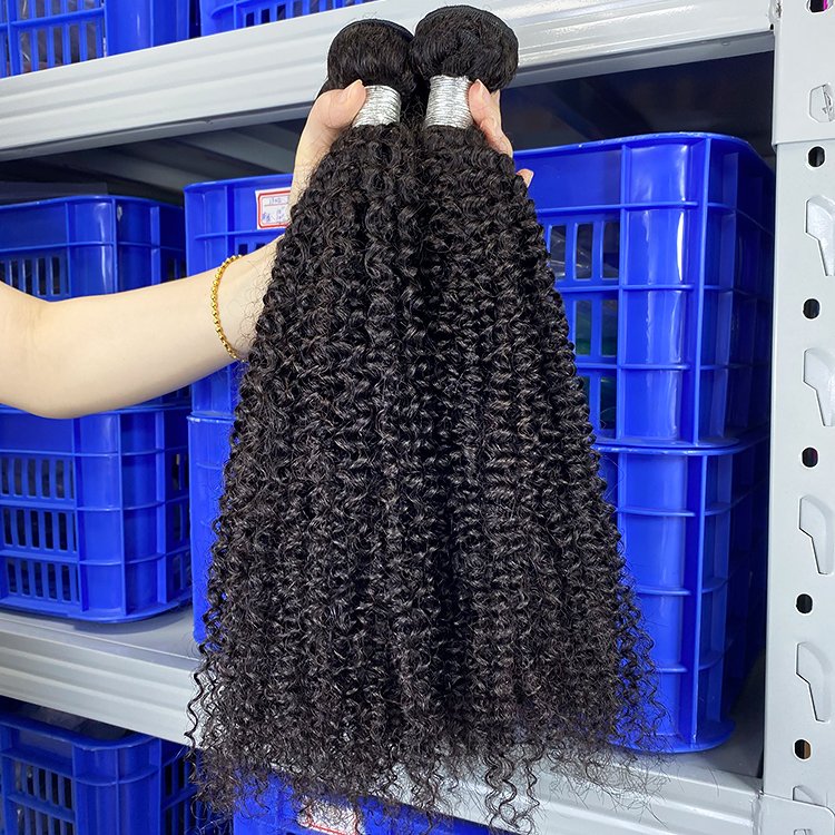 Raw Vietnamese Hd Lace Cuticle Aligned Curly Braiding Human Hair Brazilian Bundles Glueless Indian Extensions