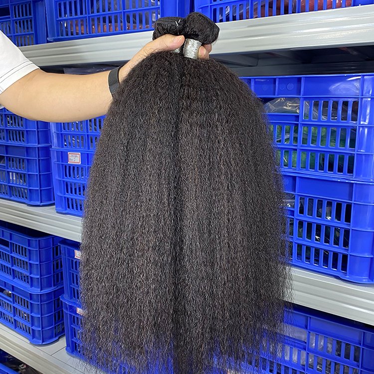 Raw Vietnamese Hd Lace Cuticle Aligned Curly Braiding Human Hair Brazilian Bundles Glueless Indian Extensions