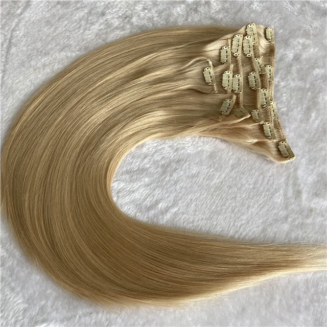 100% Human Hair Clip in High Quality Russian Extensions Extensions Hair Extensions
