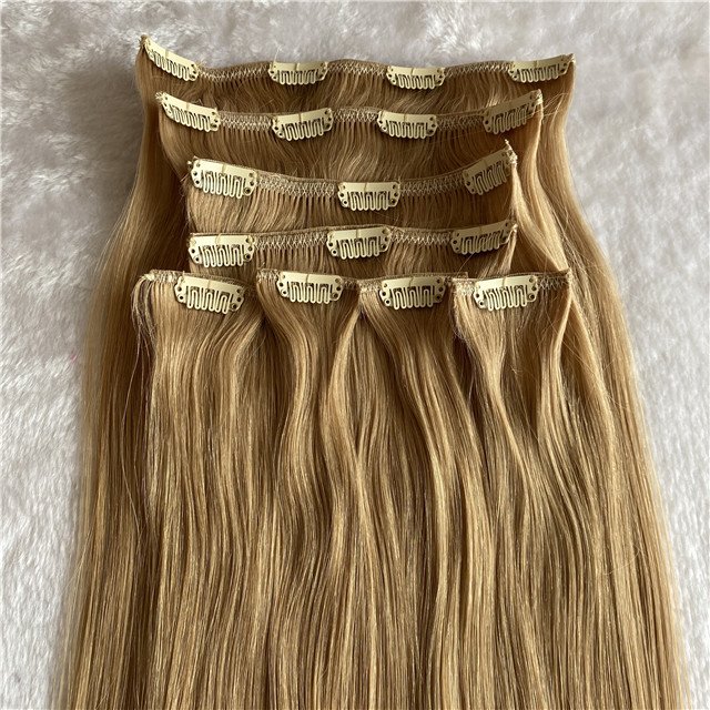 100% Human Hair Clip in High Quality Russian Extensions Extensions Hair Extensions