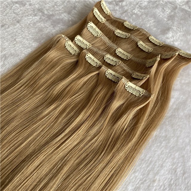 100% Human Hair Clip in High Quality Russian Extensions Extensions Hair Extensions