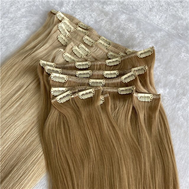 100% Human Hair Clip in High Quality Russian Extensions Extensions Hair Extensions