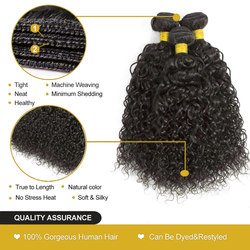 Curly