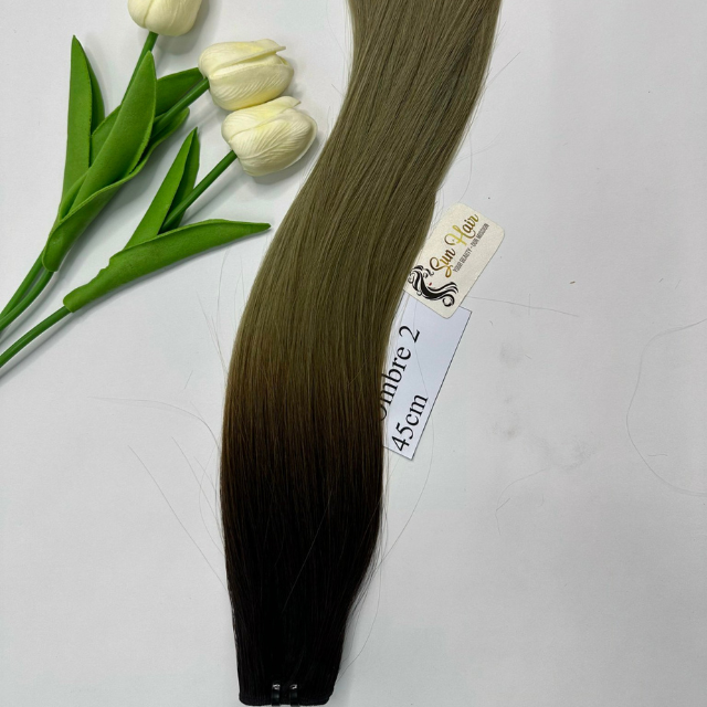 Wholesale Hot Fashionable Ombre #T4/27 Color Natural Straight Super Double Drawn Weft Hair 100% Human Hair Extensions